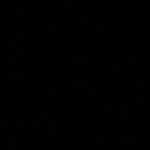 Meet your Posher, Diamond